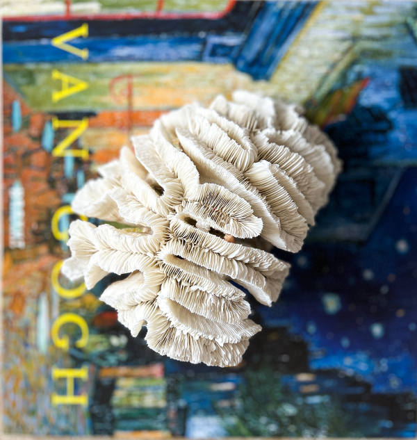 Product image thumbnail