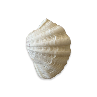 Denizden No.10