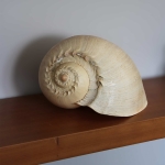 Product image thumbnail