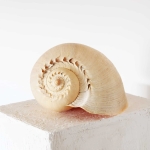 Product image thumbnail